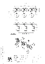 VS_03 M5 SE PG.webp