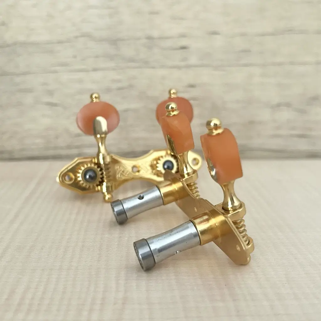 Foto 09-09-2025, 10 11 27.webp