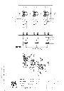 VS_03 M6 SE PG.webp