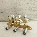 Foto 11-09-2025, 14 16 46.webp