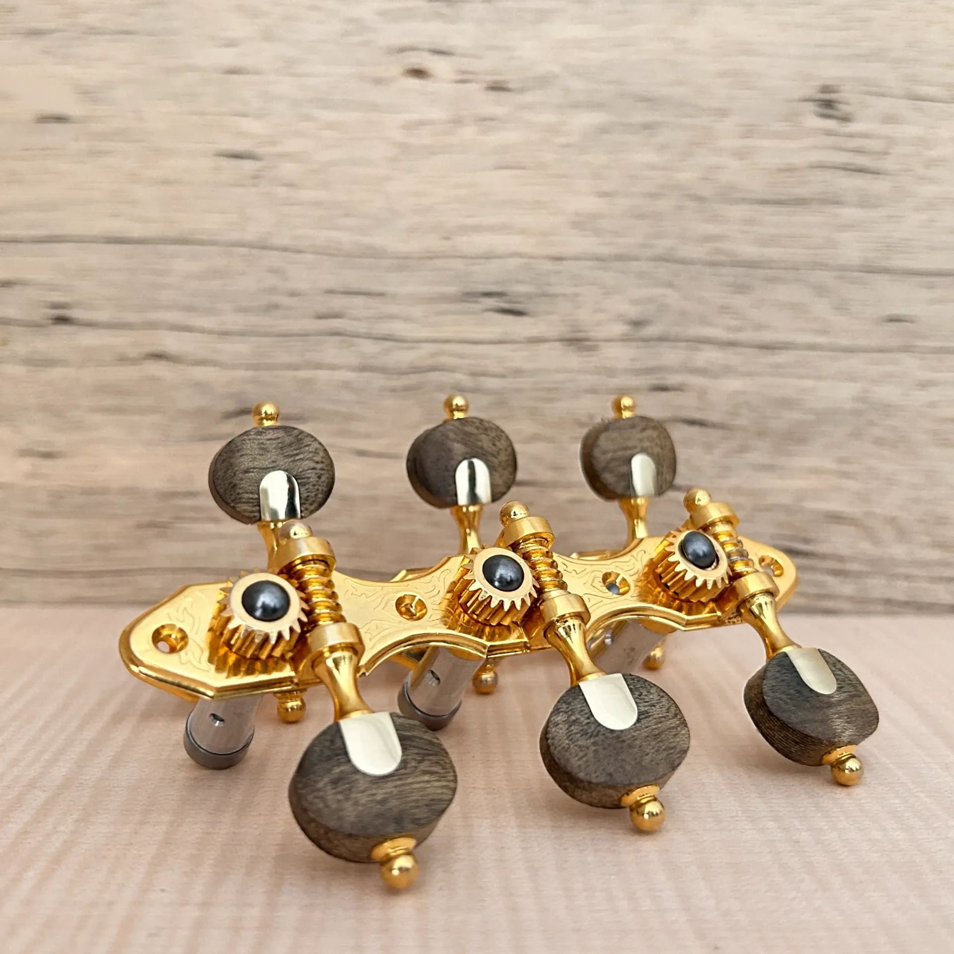 TARRAXA VIOLAO 6 M M3LTD PGB SED - E03 - STA Canela