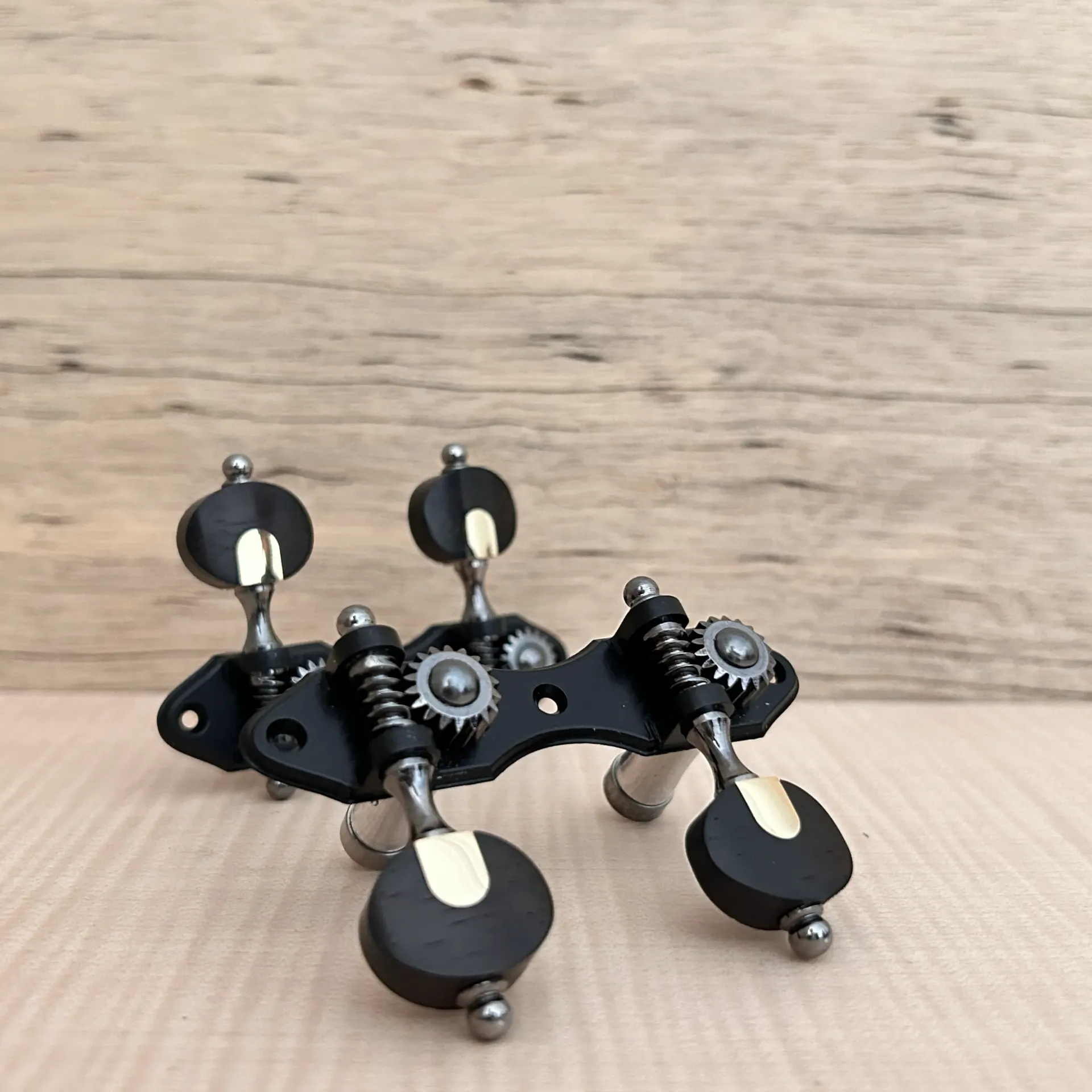 TARRAXA CAVACO S M3ALP PGB SEG - Lisa - STA Rosewood