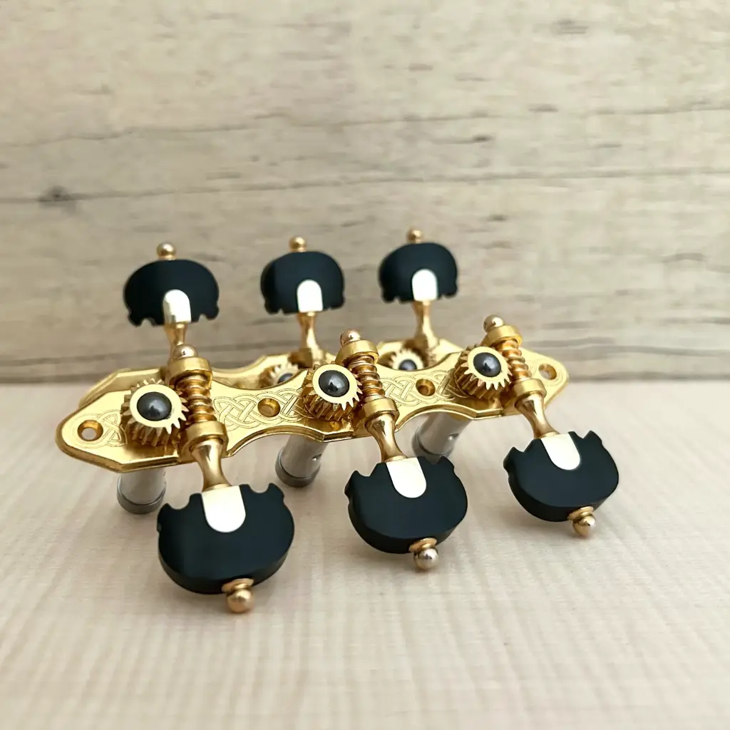 [M0610010338-03] TARRAXA VIOLAO 6 M M3LTD PGB SED - E03 - TEN Ebony