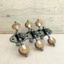 TARRAXA VIOLAO 6 M M3LTG PGB SEG - E03 - STA Pau Rainha