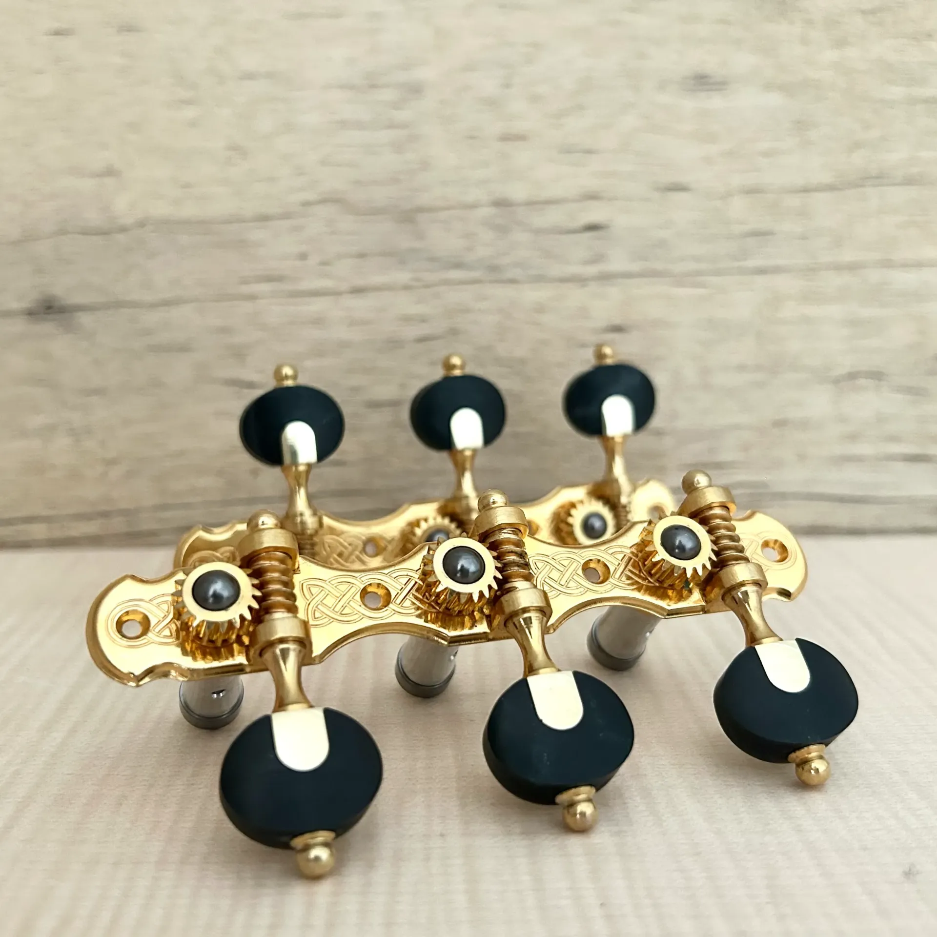 [M0616010317-03] TARRAXA VIOLAO 6 M M5LTD PGB SED - E03 - STA Resina Pérola Negra