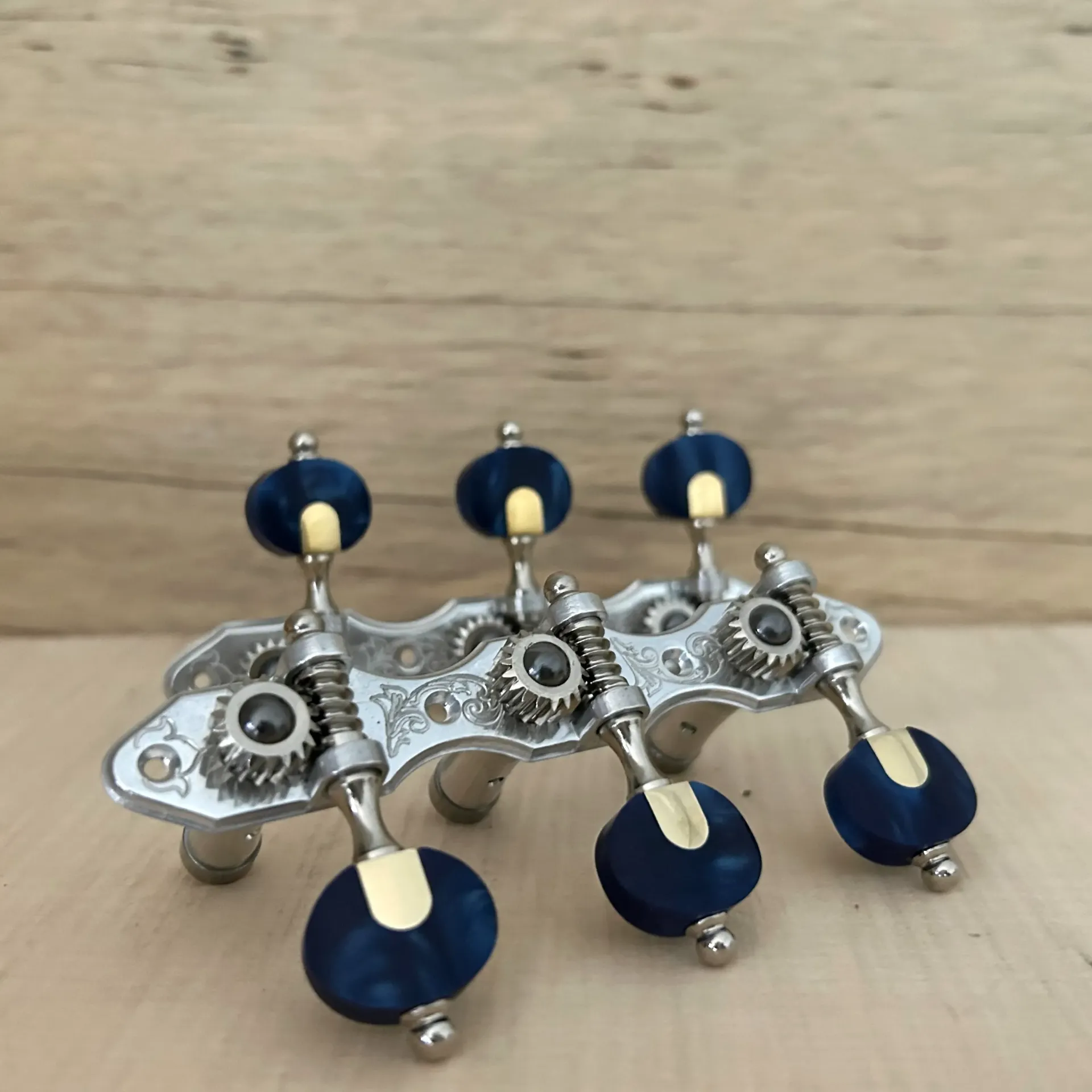 TARRAXA VIOLAO 6 S M3ALB PGB SEN - E02 - STA Resina Safira Azul