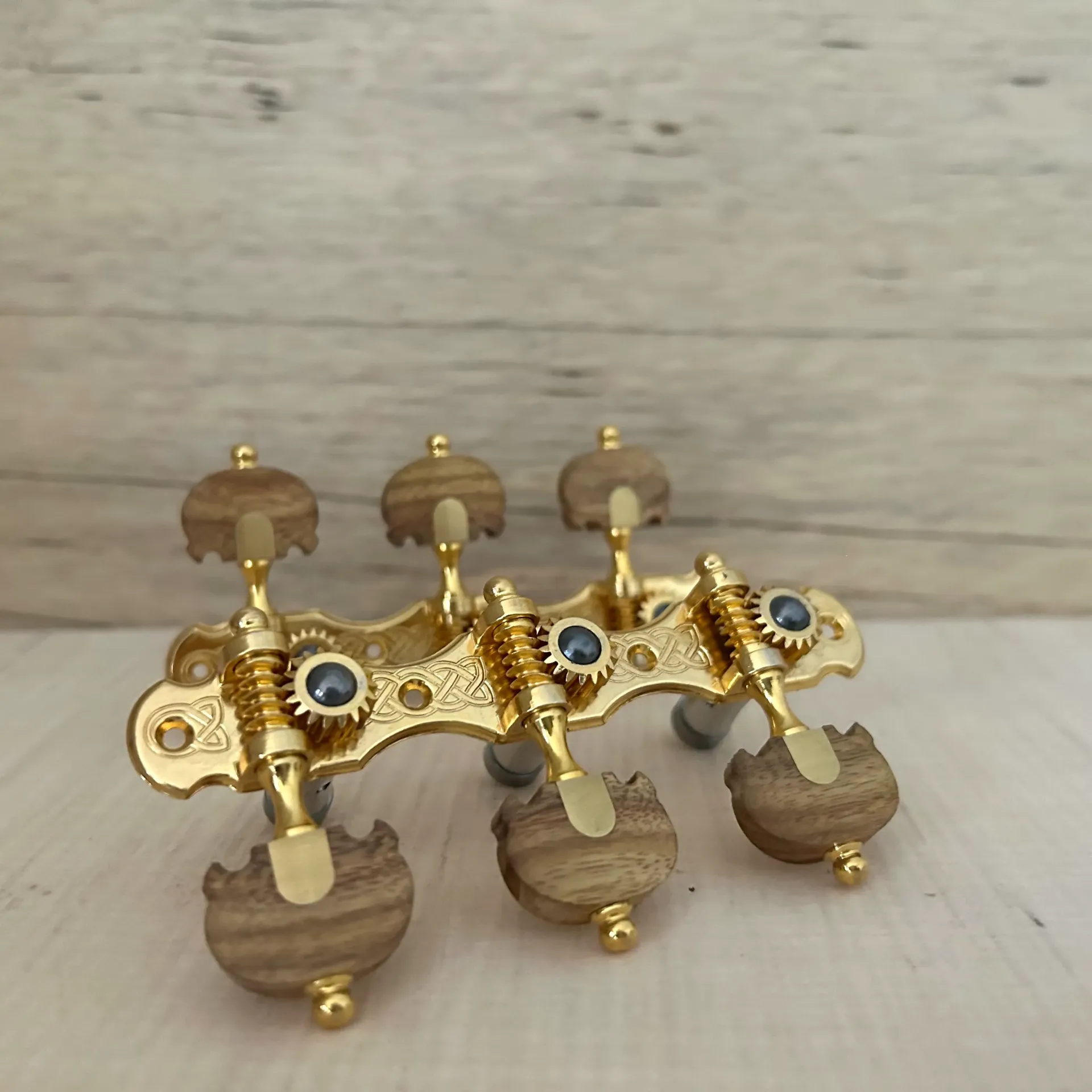 [M0616010347-03] TARRAXA VIOLAO 6 M M5LTD PGB SED - E03 - TEN Zebrano