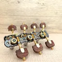 TARRAXA VIOLAO 7 M M5LTG PGB SED - E25 - TEN Rosewood Rajado