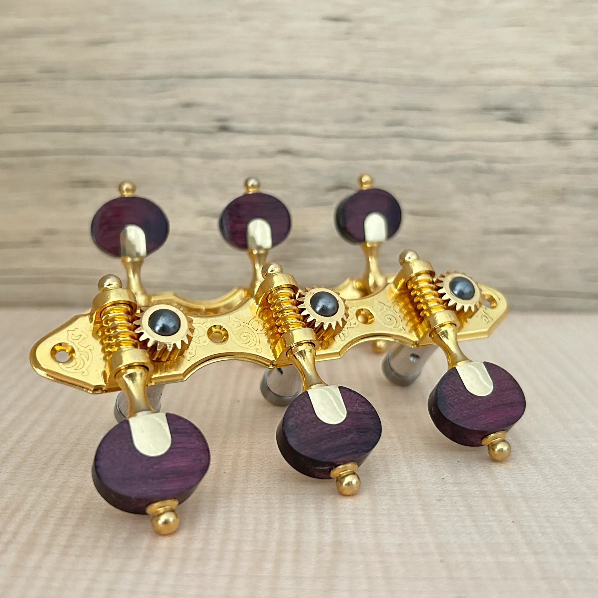 TARRAXA VIOLAO 6 M M3LTD PGB SED - E37 - STA Roxinho