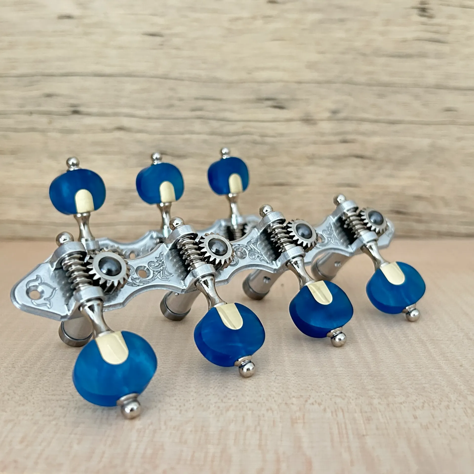 TARRAXA VIOLAO 7 S M3ALB PGB SEN - E02 - STA Resina Safira Azul