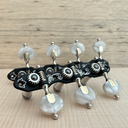 TARRAXA VIOLAO 7 S M3ALP PGB SEN - E02 - STA Resina Madrepérola